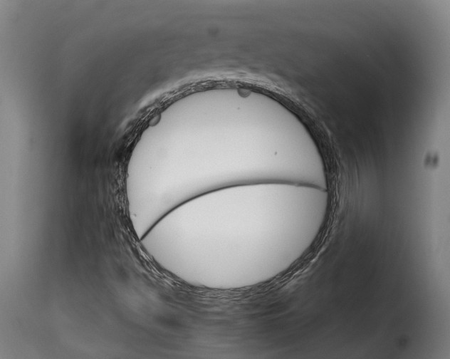X0000115271494200911201717