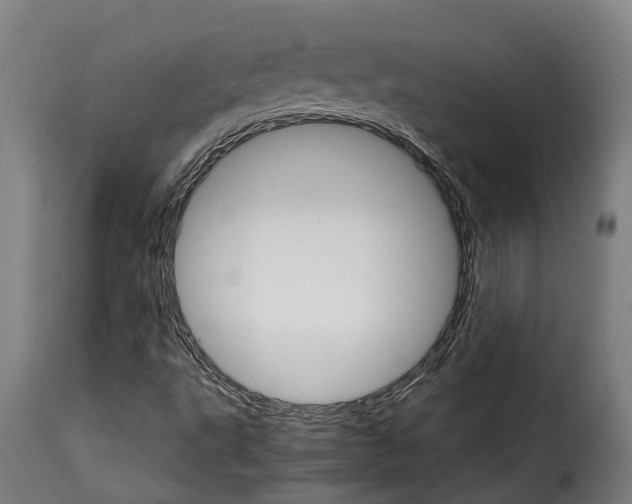 X0000115271495200911201717