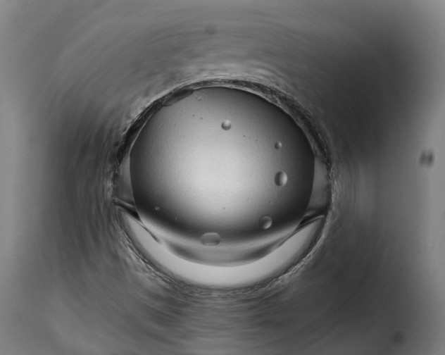 X0000115271497200911201717