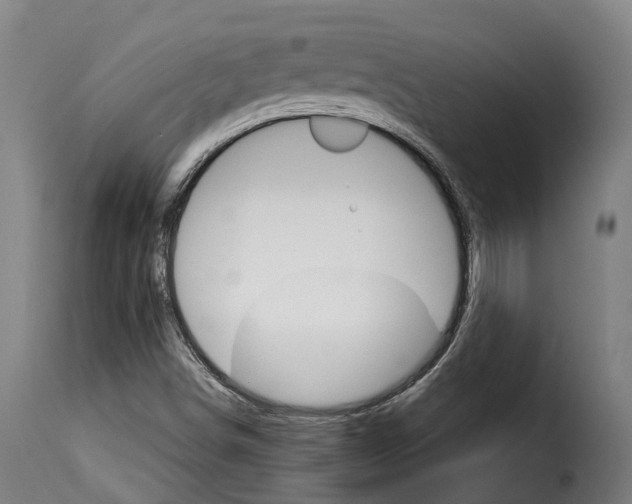 X0000115271498200911201717