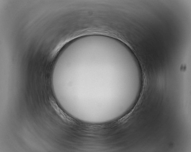 X0000115271499200911201717