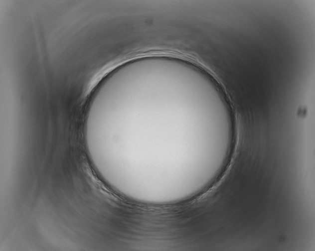 X0000115271501200911201717