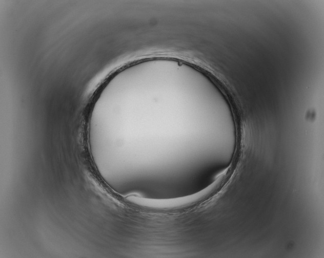 X0000115271502200911201717