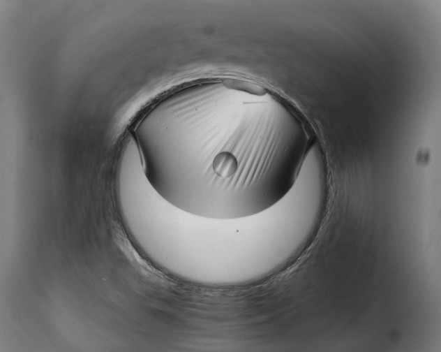 X0000115271503200911201717