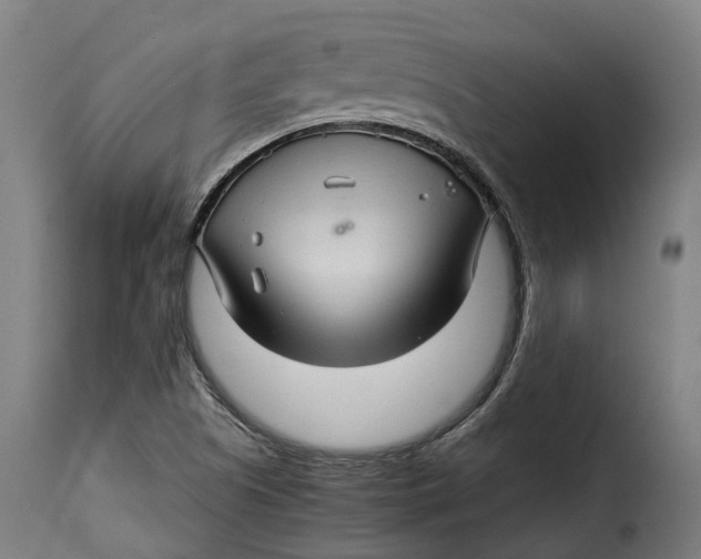 X0000115271505200911201717
