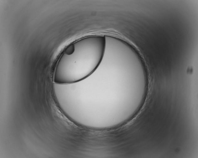 X0000115271506200911201717