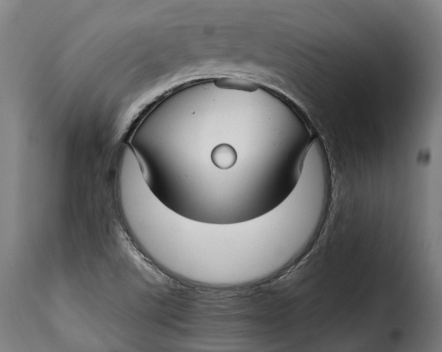 X0000115271507200911201717