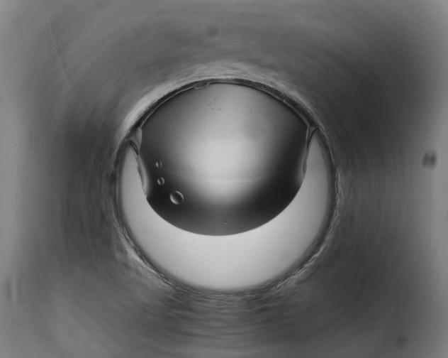X0000115271509200911201717