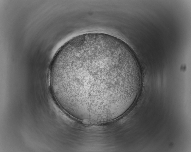 X0000115271510200911201717