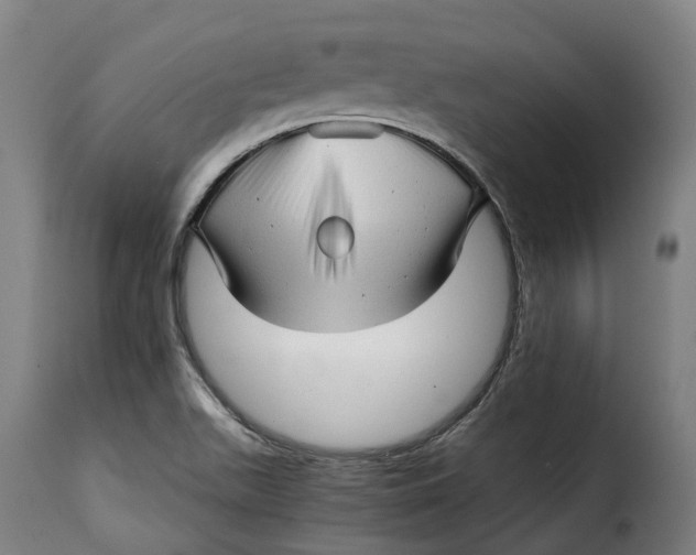 X0000115271511200911201717