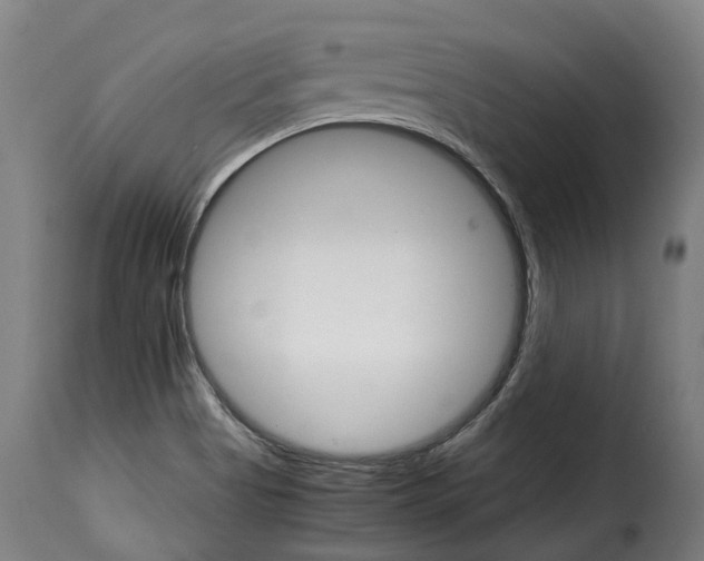 X0000115271513200911201717