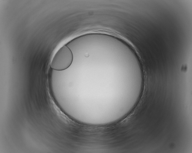X0000115271514200911201717