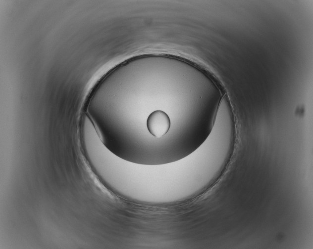 X0000115271517200911201717