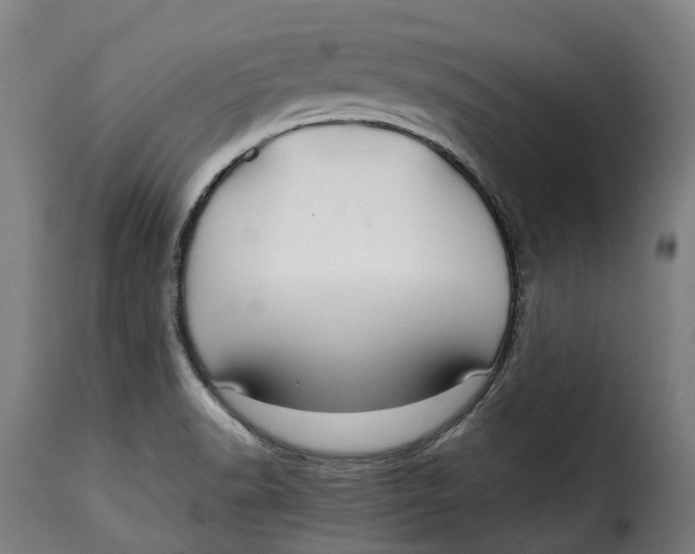 X0000115271518200911201717