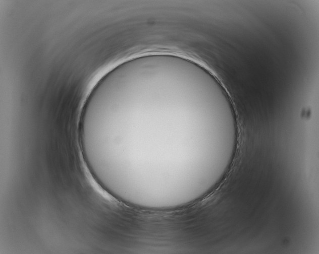 X0000115271519200911201717