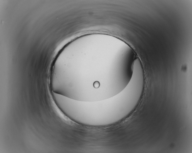 X0000115271523200911201717
