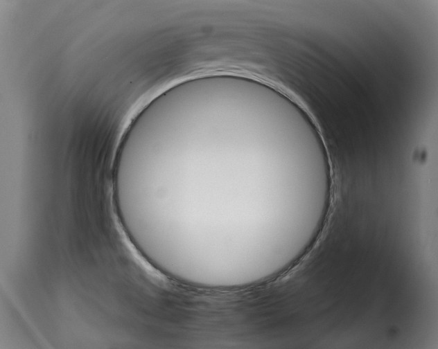 X0000115271525200911201717