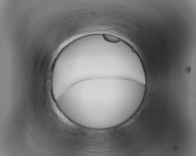 X0000115271526200911201717