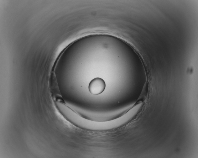 X0000115271527200911201717