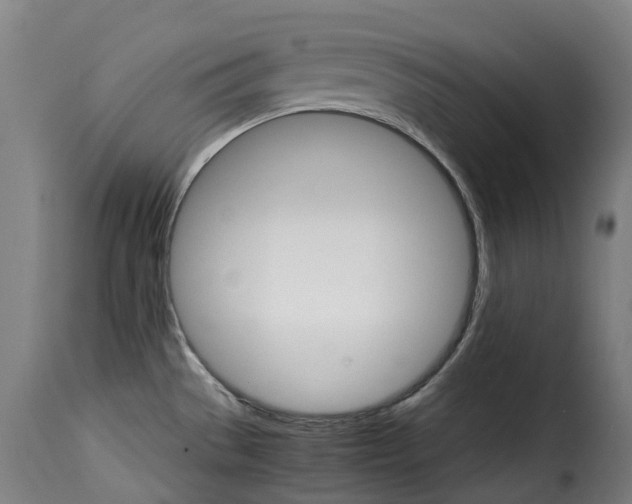 X0000115271529200911201717