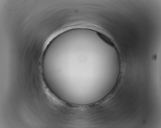 X0000115271530200911201717
