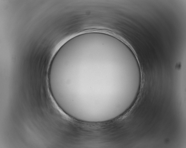 X0000115271533200911201717