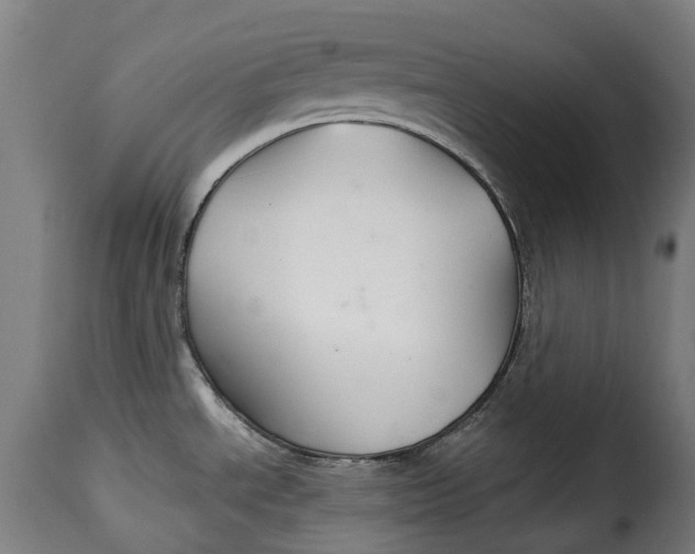 X0000115271534200911201717