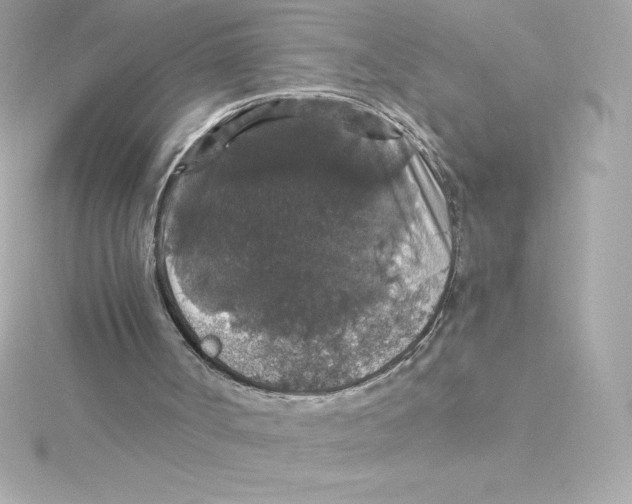 X0000115270002200911271955