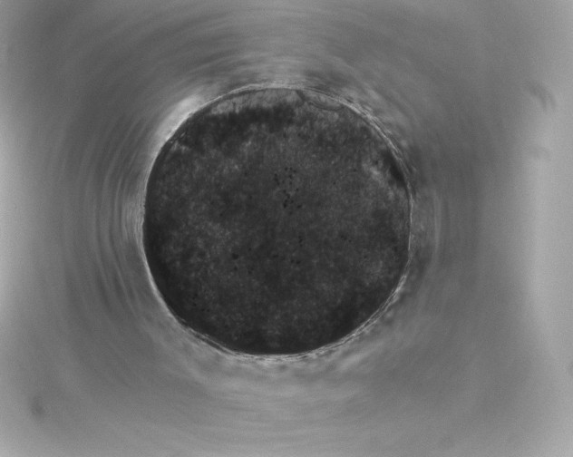 X0000115270003200911271955