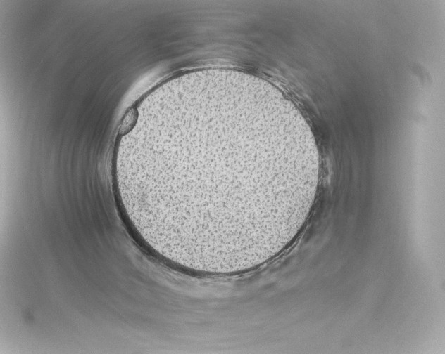 X0000115270004200911271955