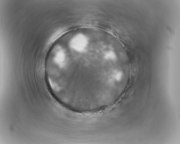 X0000115270005200911271955