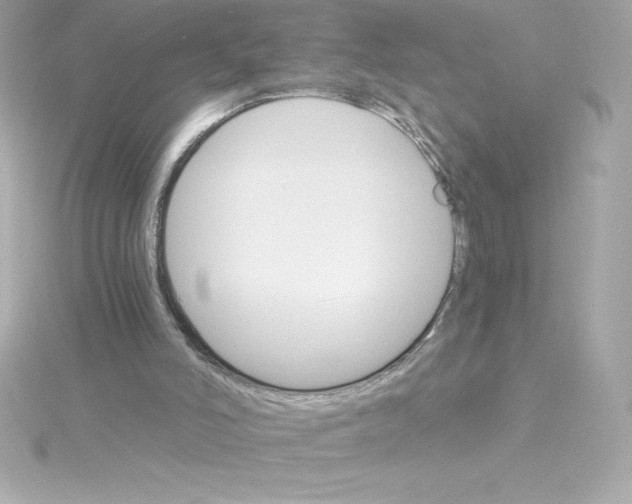 X0000115270006200911271955