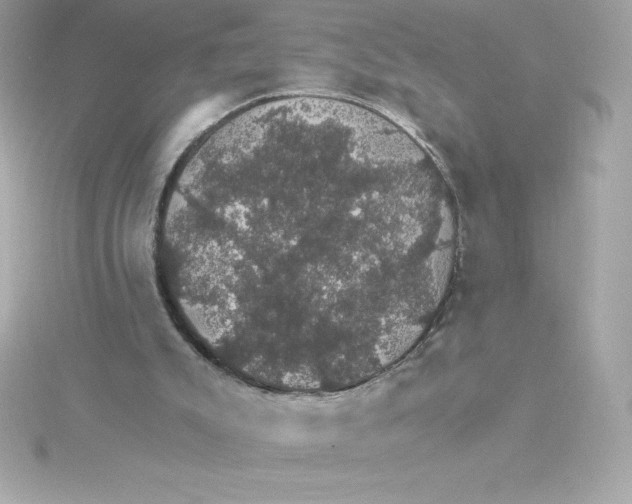 X0000115270007200911271955