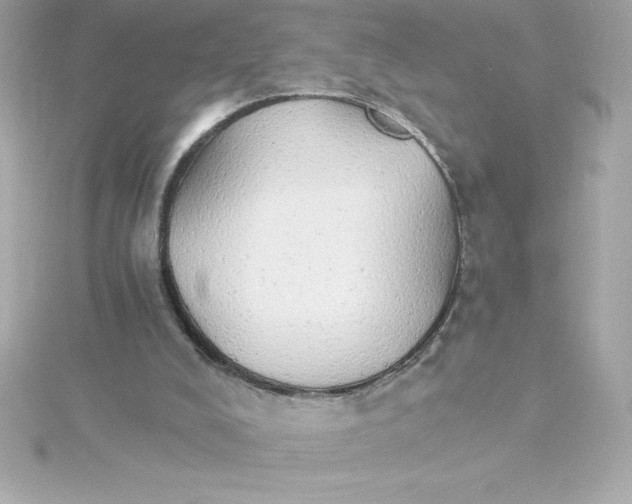 X0000115270008200911271955