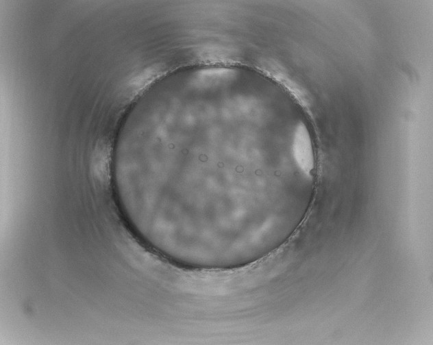 X0000115270009200911271955