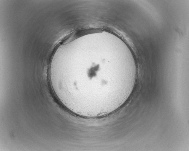 X0000115270010200911271955