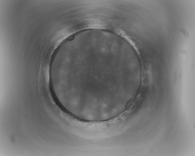 X0000115270011200911271955