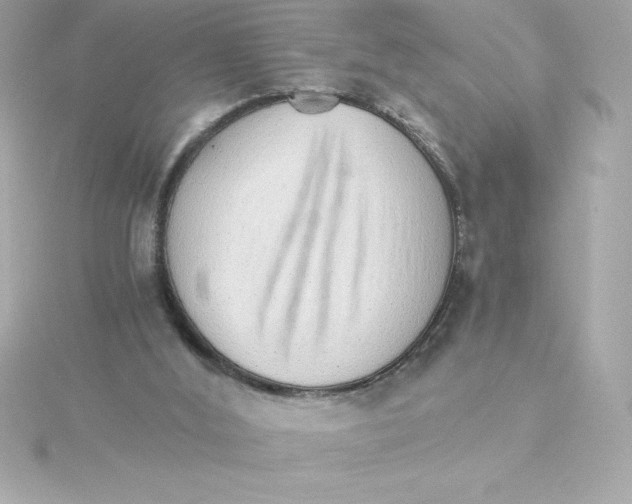 X0000115270012200911271955