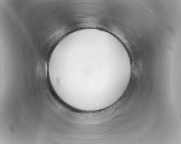 X0000115270013200911271955