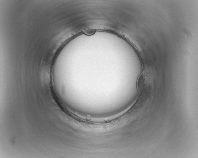 X0000115270015200911271955