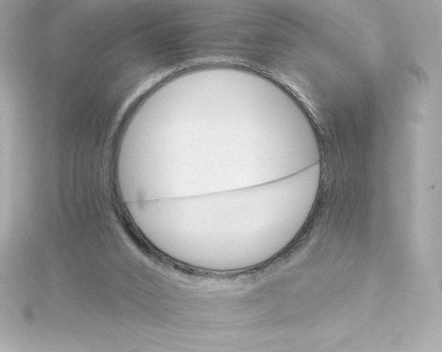 X0000115270016200911271955