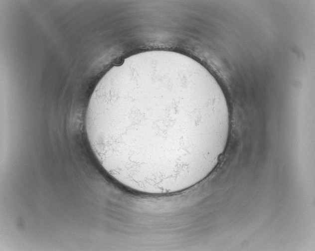 X0000115270017200911271955