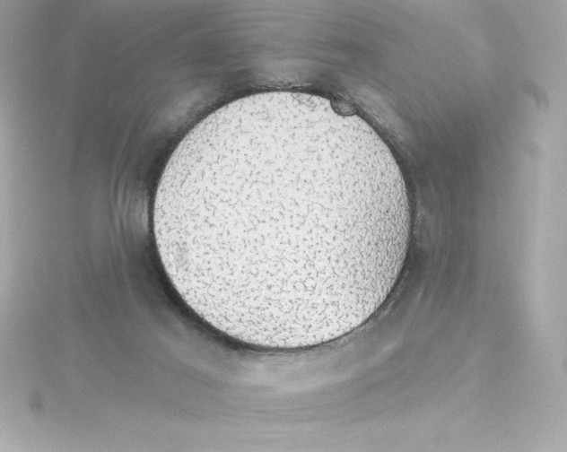 X0000115270021200911271955