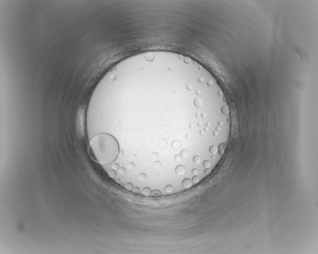 X0000115270022200911271955