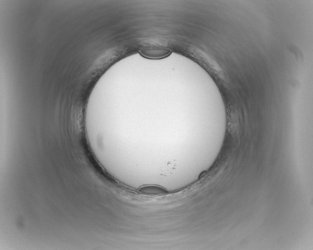 X0000115270023200911271955