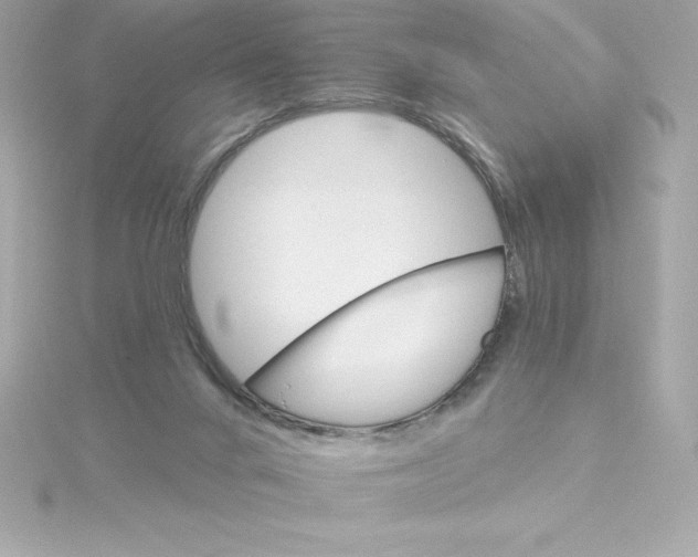 X0000115270024200911271955