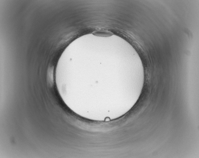 X0000115270028200911271955