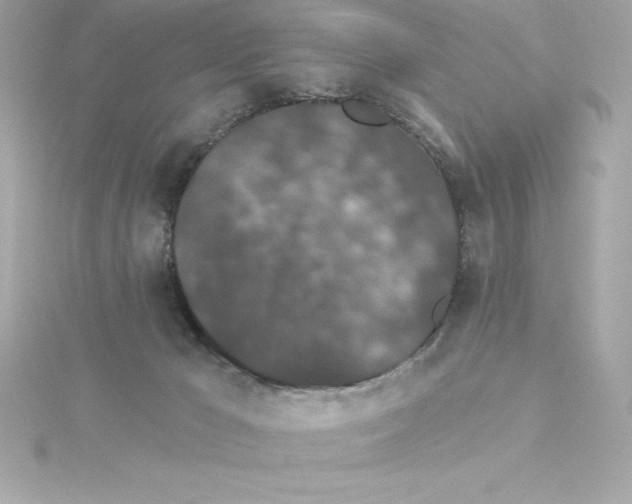 X0000115270029200911271955