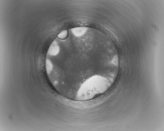 X0000115270030200911271955