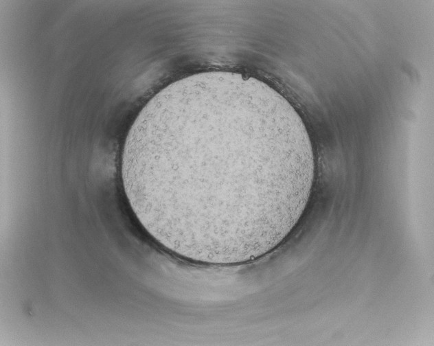 X0000115270032200911271955